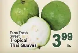 Angelo Caputo's Fresh Market Farm Fresh Sweet Tropical Thai Guavas offer