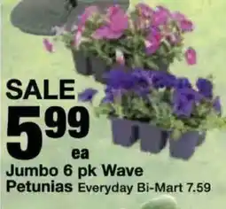 Bi-Mart Jumbo 6 pk Wave Petunias offer