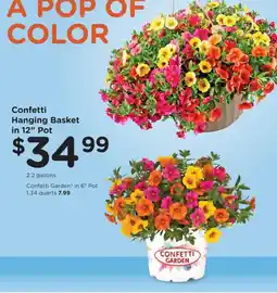 Fred Meyer Confetti Hanging Basket offer