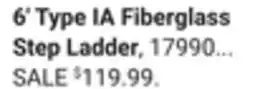 Ace Hardware Werner 6' Type I Fiberglass Step Ladder, 250 Lb. Capacity 6' Type IA Fiberglass Step Ladder offer