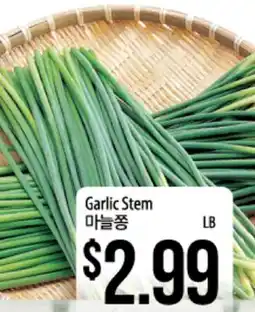 Hmart Garlic Stem offer