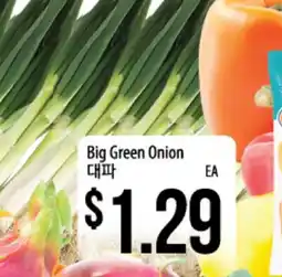 Hmart Big Green Onion offer