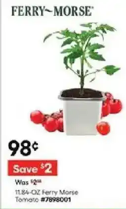 Lowe's Ferry Morse Tomato offer