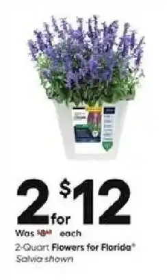 Lowe's 2-Quart Flowers for Florida offer