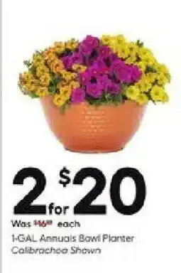Lowe's 1-GAL Annuals Bowl Planter Calibrachoa Shown offer