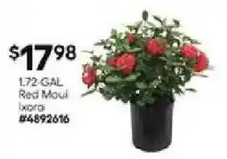 Lowe's 1.72-GAL Red Maui offer
