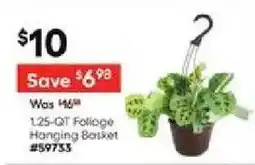 Lowe's 125-QT Folloge Hanging Basket offer
