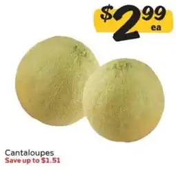 Winn Dixie Cantaloupes offer