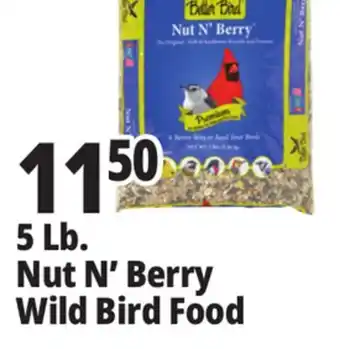 Ocean State Job Lot Better Bird Premium Nut N' Berry Bird Food 5 lbs offer