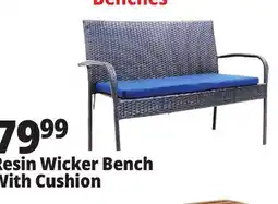 Ocean State Job Lot Resin Wicker Bench With Cushion offer