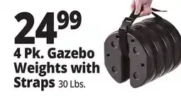 Ocean State Job Lot 4 Pk. Gazebo Weights with Straps offer