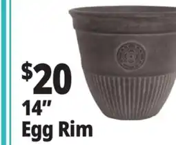 Ocean State Job Lot 14 Egg Rim Resin Planter offer