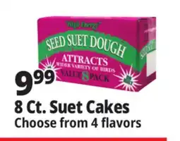 Ocean State Job Lot Seed & Suet High Energy Suet Value Pack, 8 Count offer