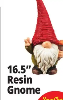 Ocean State Job Lot Outdoor Living Accents Resin Garden Gnome 16.5 offer