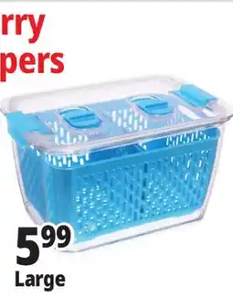 Ocean State Job Lot Large Berry Keepers offer