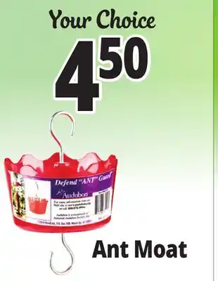 Ocean State Job Lot Ant Moat offer