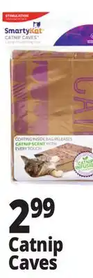 Ocean State Job Lot Catnip Caves Cat Toys offer