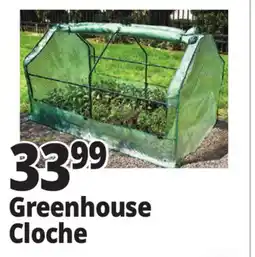 Ocean State Job Lot Greenhouse Cloche offer