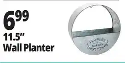 Ocean State Job Lot 11.5 Wall Planter offer