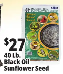 Ocean State Job Lot Black Oil Sunflower Seeds 40 lbs offer