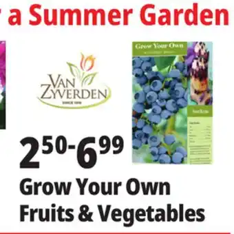 Ocean State Job Lot Grow Your Own Fruits & Vegetables offer