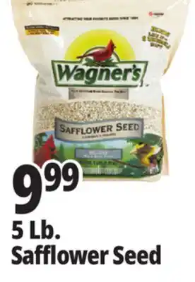 Ocean State Job Lot Wagner's Safflower Seed Deluxe Wild Bird Food offer