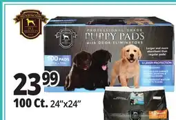 Ocean State Job Lot Huntington Pet Products Professional Grade 24 x 24 Puppy Pads with Odor Eliminators 100 Count offer