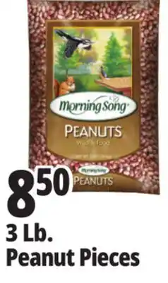 Ocean State Job Lot 3 Lb. Peanut Pieces offer