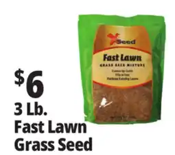 Ocean State Job Lot X-Seed Fast Lawn Grass Seed Mixture 3 lbs offer