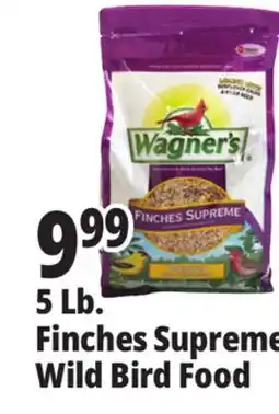 Ocean State Job Lot Better Bird Songbird Better Blends Food 5 lbs offer