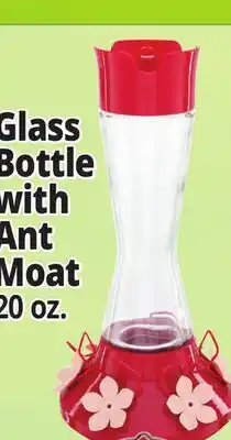 Ocean State Job Lot Glass Bottle with Ant Moat offer