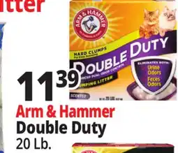 Ocean State Job Lot Arm & Hammer Double Duty offer