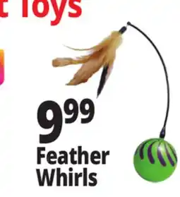 Ocean State Job Lot Feather Whirls offer