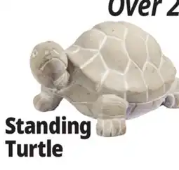 Ocean State Job Lot Standing Turtle offer