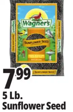 Ocean State Job Lot Wagner's Black Oil Sunflower Seed Wild Bird Food 5 lbs offer