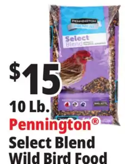 Ocean State Job Lot Pennington Premium Select Blend Bird Seed 10 lb offer