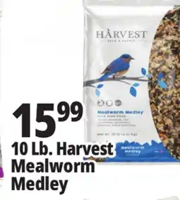 Ocean State Job Lot Harvest Seed & Supply Mealworm Medley Wild Bird Food 10 lb offer
