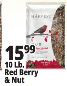 Ocean State Job Lot Harvest Seed & Supply Red Berry & Nut Wild Bird Food 10 lb offer