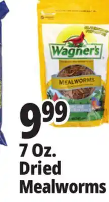 Ocean State Job Lot Wagner's Bird Meal Worms 7oz offer