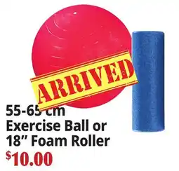 Ocean State Job Lot 55-65 cm Exercise Ball or 18 Foam Roller offer
