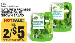 Food Lion Nature's promise greenhouse grown salad offer
