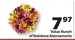 Weis Markets Bunch of Rainbow Alstroemeria offer