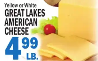 C Town GREAT LAKES AMERICAN CHEESE offer