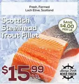 DeCicco & Sons Scottish Steelhead Trout Fillet offer