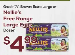 DeCicco & Sons Nellie's Free Range Large Eggs offer