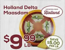 DeCicco & Sons Holland Delta Maasdam offer