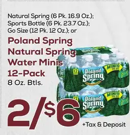 DeCicco & Sons Poland Spring Natural Spring Water Minis 12-Pack offer