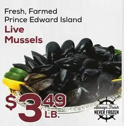 DeCicco & Sons Prince Edward Island Live Mussels offer