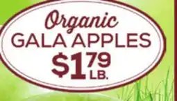 DeCicco & Sons Organic GALA APPLES offer