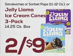 DeCicco & Sons Jolly Llama Ice Cream Cones 3-Pack offer